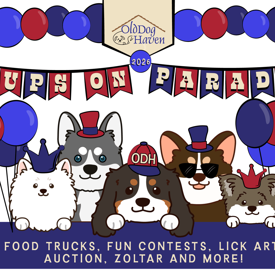 Old Dog Haven Pups on Parade 1